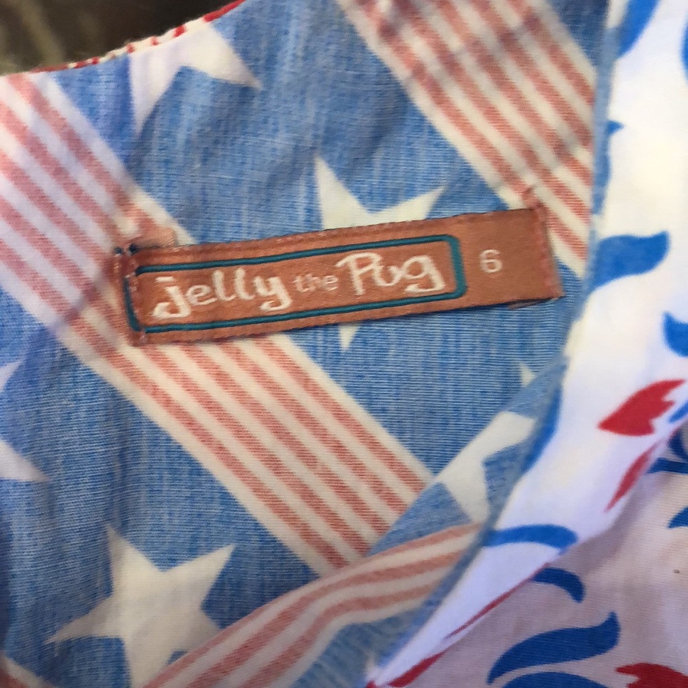 Jelly the Pug Fourth of July inspired girls dress - Picture 4 of 5